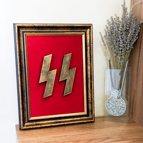 3D Waffen SS symbol Framed Wall Art Decor - 231